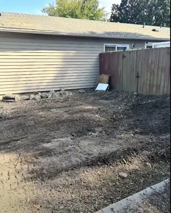 Clean property after tree and stump removal