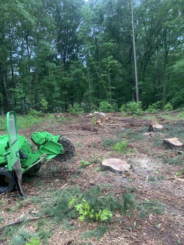 Lot clearing job in Hampton Roads VA - stump grinder removing multiple stumps on wooded property