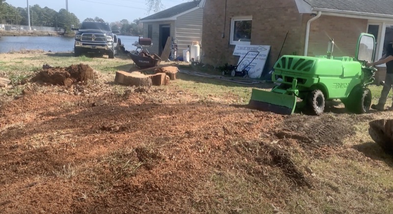 Ground stump after professional stump grinding in Chesapeake VA - clean wood chips