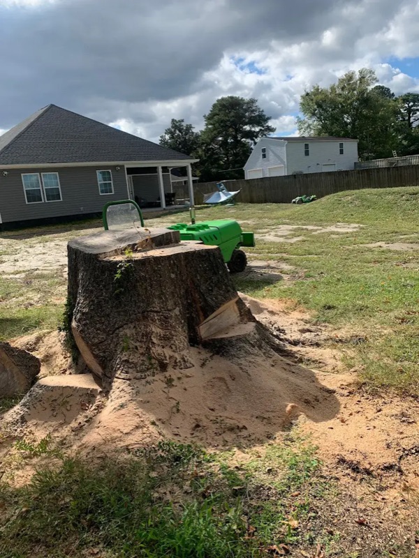 Large tree stump before grinding with stump grinder in residential Chesapeake VA neighborhood