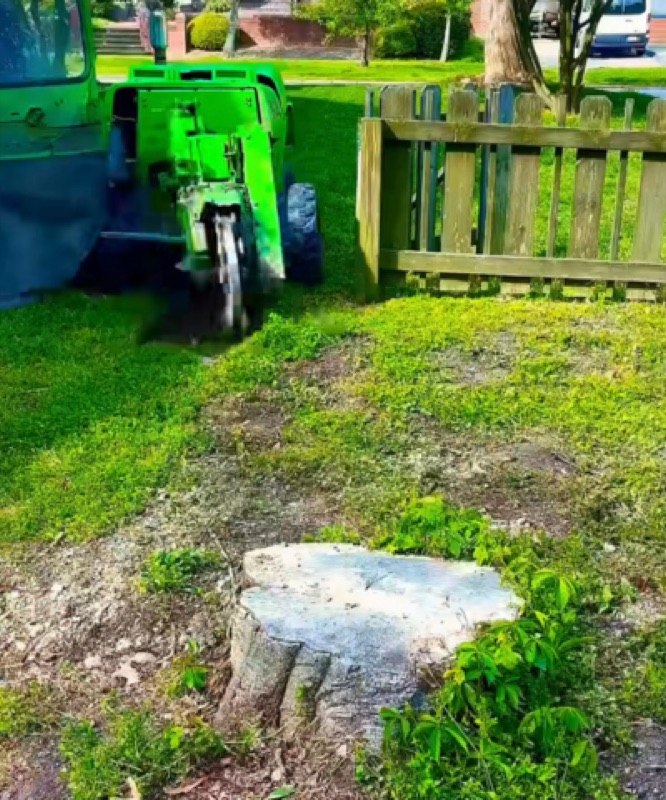 Stump grinding in Norfolk VA - green stump grinder next to tree stump in residential yard