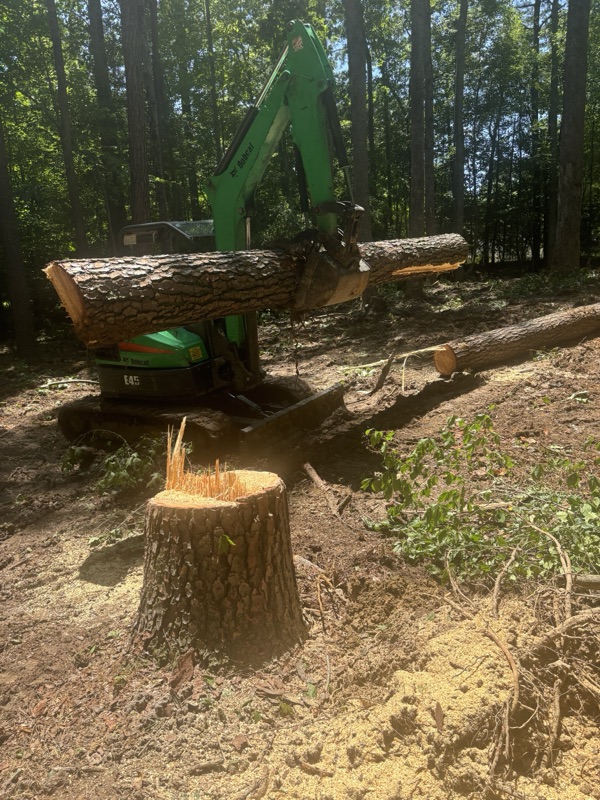 Lot clearing with excavator in Hampton Roads VA - moving logs during land clearing job