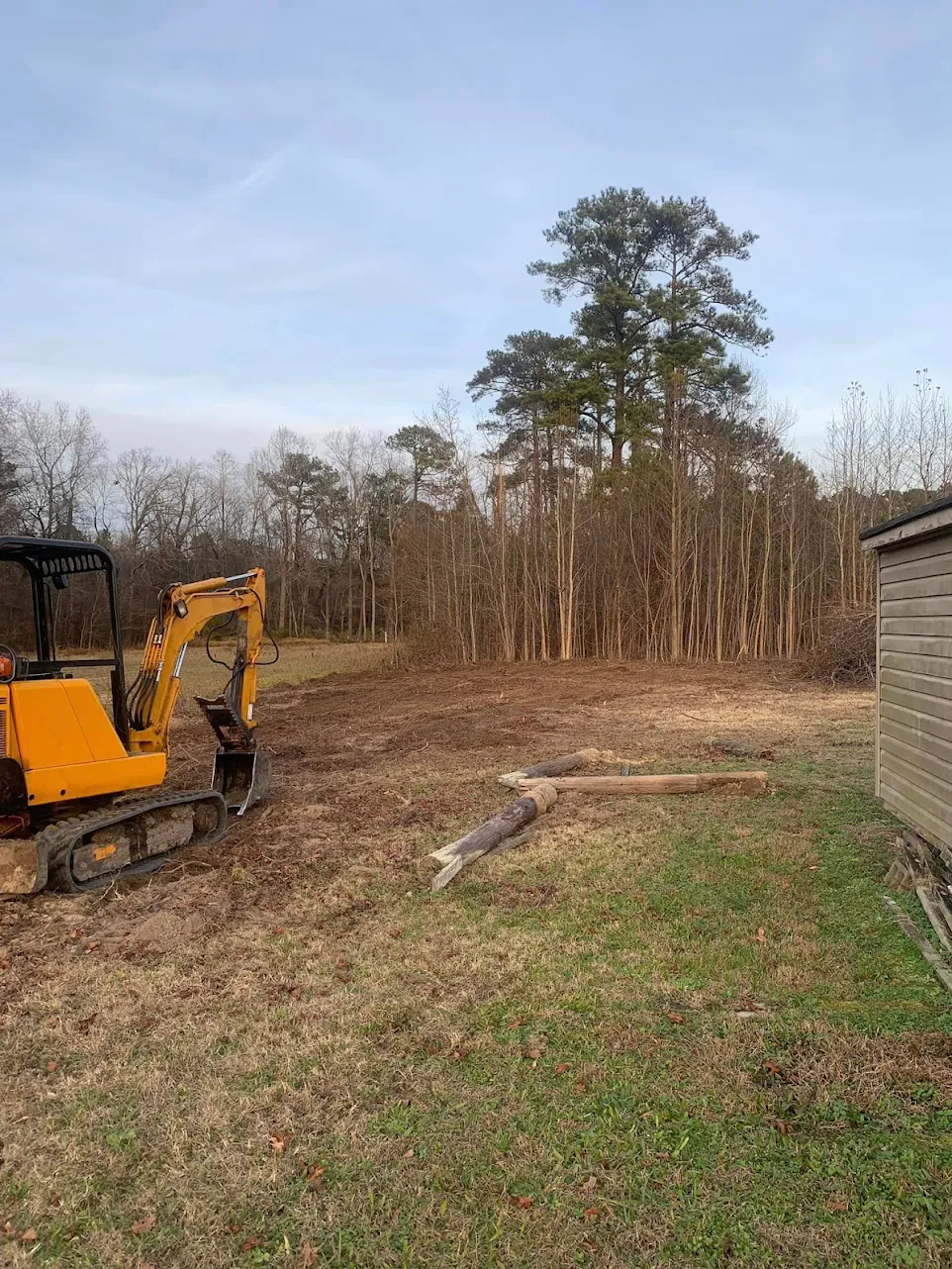 tree clearing