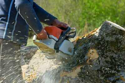 tree stump removal services