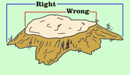 How to measure a tree stump