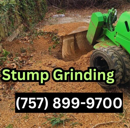 Stump Grinding