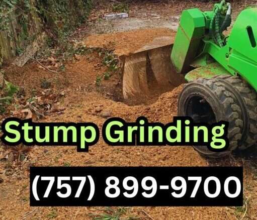 Stump Grinding