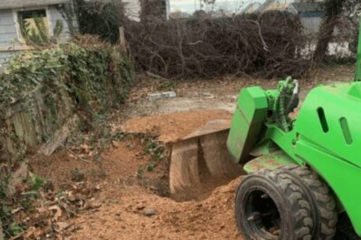 stump grinding chesapeake