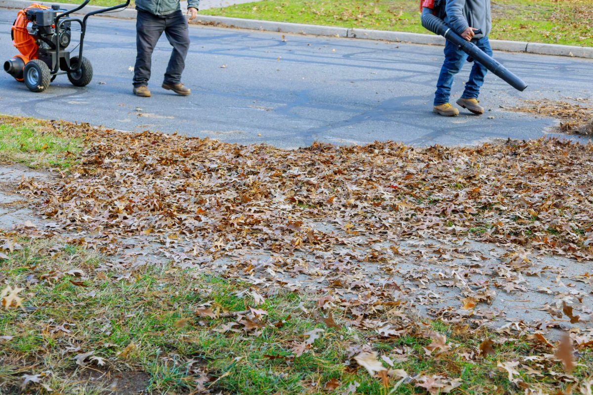 Leaf blower work in blowing fallen worker clean the fallen leaves a pile