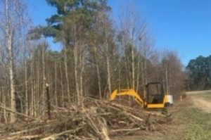 shrub clearing